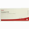 Oesophagus Gl D6 Ampullen 10 x 1 ml - ab 0,00 €