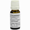 Oleum Pini Pumilionis Hautvorweicher Öl 10 ml - ab 6,92 €