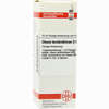 Oleum Terebinthinae D6 Dilution 20 ml - ab 8,69 €