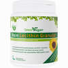 Omnivegan Rein Lecithin Granulat 300 g - ab 21,71 €