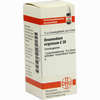Onosmodium Virginicum C30 Globuli  10 g - ab 9,29 €