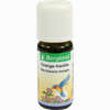 Orange- Vanille Öl Bergland  10 ml - ab 5,09 €