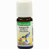 Orangen- Öl Süss Bergland  10 ml - ab 2,68 €