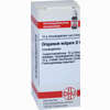 Origanum Vulg D6 Globuli 10 g - ab 7,55 €