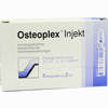 Osteoplex Injekt Ampullen 5 Stück