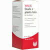 Oxalis E Pl Tota W 10 Ol 100 ml - ab 9,20 €