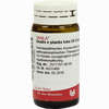 Oxalis E Planta Tota D6 Globuli 20 g - ab 7,18 €