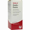 Oxalis- Essenz  100 ml - ab 10,62 €