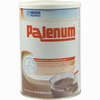 Palenum Schoko Pulver 450 g