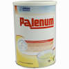 Palenum Vanille Pulver 450 g