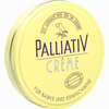 Abbildung von Palliativ Creme  25 ml