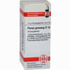 Panax Ginseng D12 Globuli 10 g - ab 7,55 €
