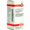 Panax Ginseng D2 Globuli 10 g - ab 7,55 €