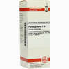 Panax Ginseng D6 Dilution 20 ml - ab 7,19 €