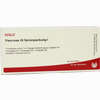 Pancreas Gl Serienpackung I Ampullen 10 x 1 ml - ab 0,00 €