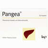 Pangea Kapseln 60 Stück - ab 14,54 €