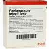 Pankreas Suis- Injeel Forte Ampullen  10 Stück - ab 22,07 €