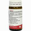 Parathyreoidea/aurum Globuli 20 g - ab 7,18 €