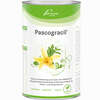 Pascogracil Pulver 550 g - ab 0,00 €