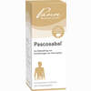 Pascosabal Tropfen 100 ml - ab 15,94 €