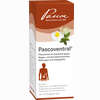 Pascoventral Tropfen 100 ml - ab 24,54 €