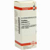 Passiflora Incarnata D 1 Dilution 20 ml - ab 8,69 €