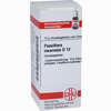 Passiflora Incarnata D12 Globuli 10 g - ab 7,55 €
