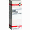 Passiflora Incarnata D2 Dilution 20 ml - ab 8,69 €