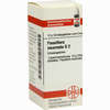 Passiflora Incarnata D2 Globuli 10 g - ab 7,55 €