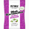 Pectoral Salbei zuckerfrei Bonbon 60 g - ab 1,45 €