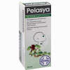 Abbildung von Pelasya bei Erkältungskrankheiten Lösung  20 ml