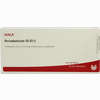 Periodontium Gl D12 Ampullen 10 x 1 ml - ab 0,00 €