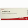 Periodontium Gl D6 Ampullen 10 x 1 ml - ab 0,00 €