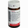 Petasites Comp Globuli 20 g - ab 7,08 €