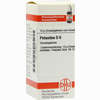 Petasites D6 Globuli 10 g - ab 7,55 €