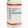 Petasites D6 Tabletten 80 Stück - ab 8,69 €