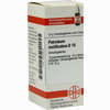 Petroleum Rectific D10 Globuli 10 g - ab 7,55 €