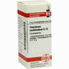 Petroleum Rectific D12 Globuli 10 g - ab 7,55 €