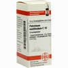 Petroleum Rectificatum C10 Globuli  10 g - ab 0,00 €