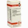 Petroleum Rectificatum C12 Globuli  10 g - ab 7,55 €