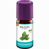 Pfefferminze Bioaroma Baldini Aetherisches Öl 5 ml - ab 3,78 €