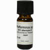 Pfefferminze Jap. 100% ätherisches Öl  10 ml - ab 4,84 €