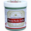 Pferdemedicsalbe Apothekers Original Gel 350 ml - ab 4,51 €