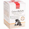 Pha Gelenkschutz für Hunde Pulver 150 g