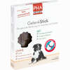 Pha Gelenkstick für Hunde Kaudragees 1 Stück - ab 3,06 €