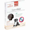 Pha Gelenkstick für Hunde Kaudragees 1 Stück - ab 3,08 €