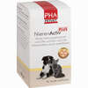 Pha Nierenactiv Plus für Katzen Pulver 60 g - ab 13,56 €