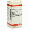 Phellandrium Aquat D3 Tabletten 80 Stück - ab 0,00 €