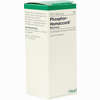 Phosphor Homaccord Tropfen 30 ml