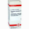 Phosphorus Amorph D6 Tabletten 80 Stück - ab 8,69 €